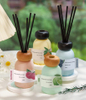 Fruit Lovely Colorful Reed Aromatherapy Diffuser Gift