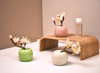 Aroma Decor Factory Produced Floral Arrangement Aroma Reed Diffuser Gift