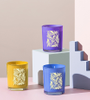 Bright Color Four Color Reed Scented Candle Gift