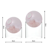 Glass Ball Aroma Stone Crystal Reed Diffuser Gift