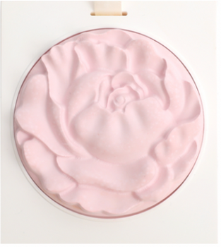 Plaster Flower Aroma Diffsuer